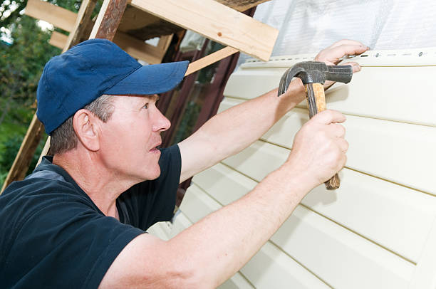 Best Siding Painting and Refinishing  in Beechwood, MI