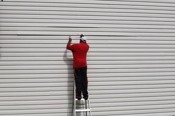 Best Custom Siding Design  in Beechwood, MI