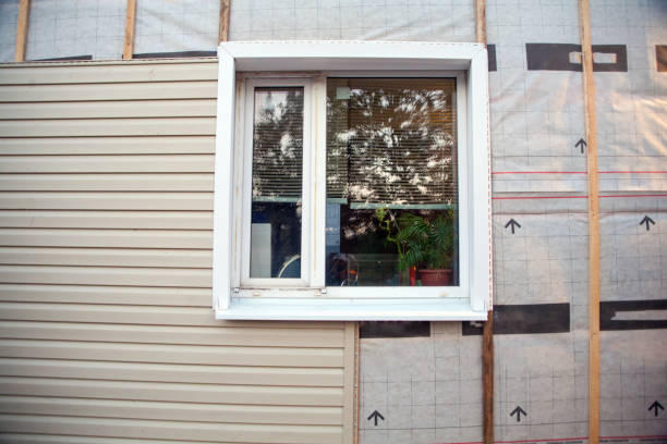 Best Composite Siding  in Beechwood, MI