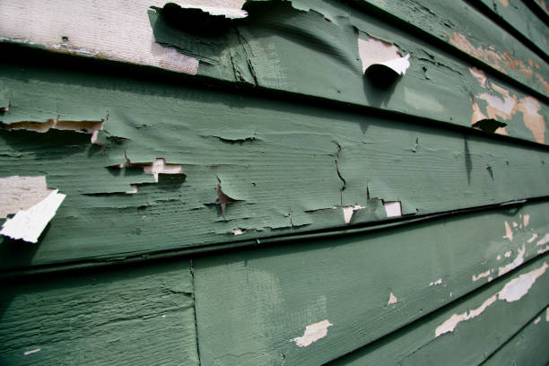Best Stone Veneer Siding  in Beechwood, MI