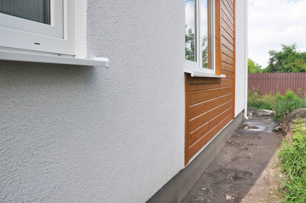 Best Steel Siding Installation  in Beechwood, MI