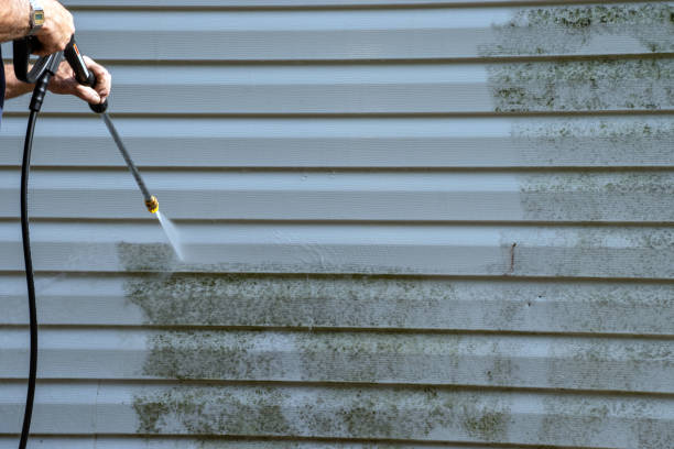 Best Stucco Siding  in Beechwood, MI