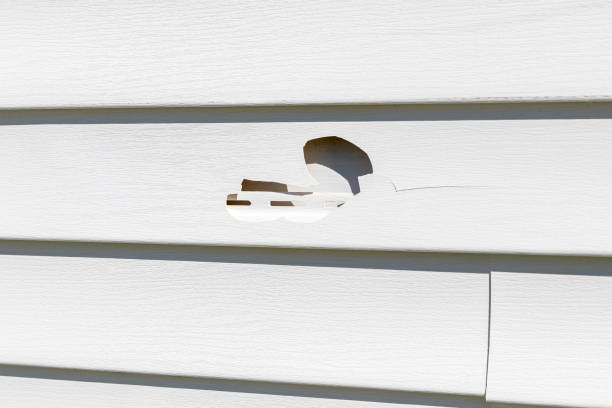 Best Custom Trim and Detailing for Siding  in Beechwood, MI