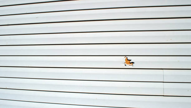 Best Engineered Wood Siding  in Beechwood, MI